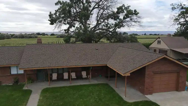 Brick ranch home with a new brown shingle roof, orchard rows behind it