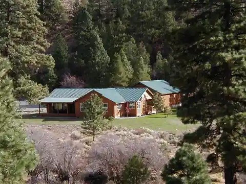 Green metal roof on log cabins among pines