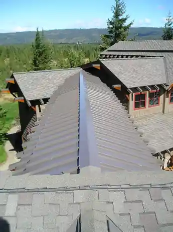 Metal roof ridge among pine trees